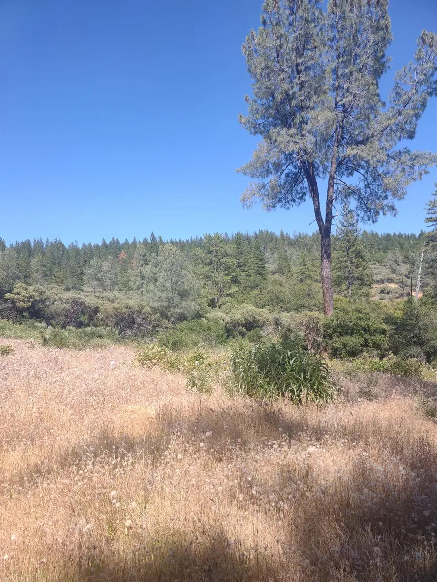 8679 Hilory Lane, Dobbins, CA 95935 - #3