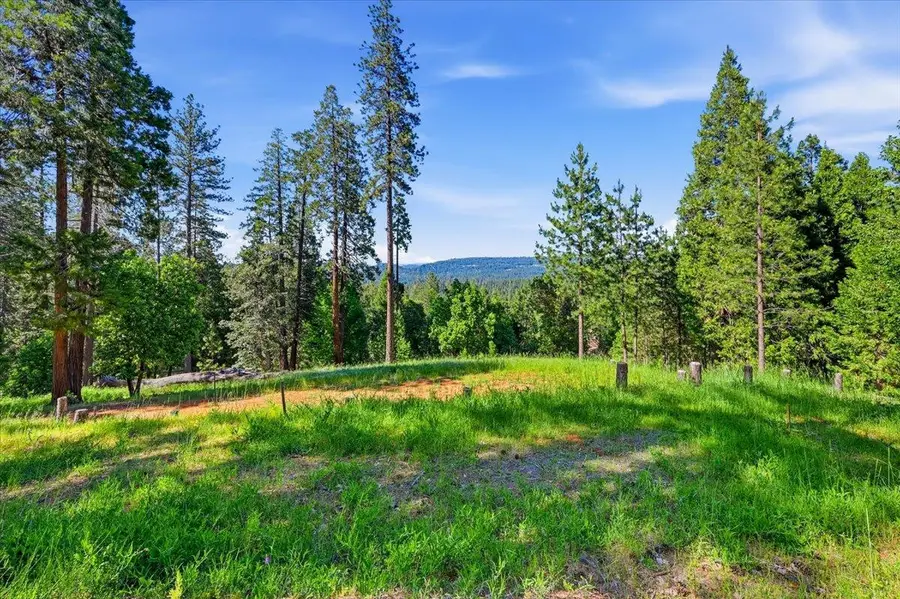 11021 Pittsburg Mine Road, Nevada City, CA 95959 - #3