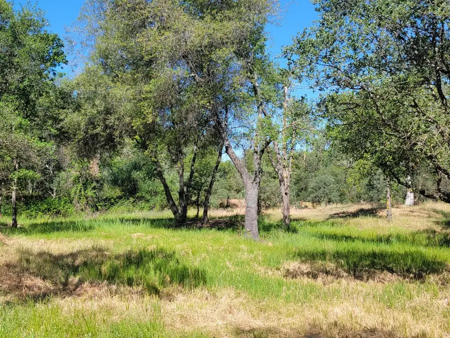 3 Angel Lane, Placerville, CA 95667 - #3
