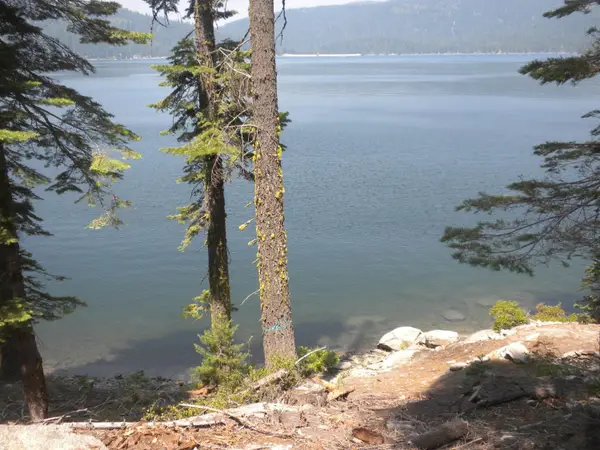822 Mile High Road, Bucks Lake, CA 95971