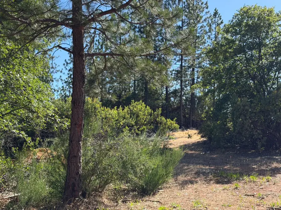 1871 Iowa Hill Road, Colfax, CA 95713 - #3