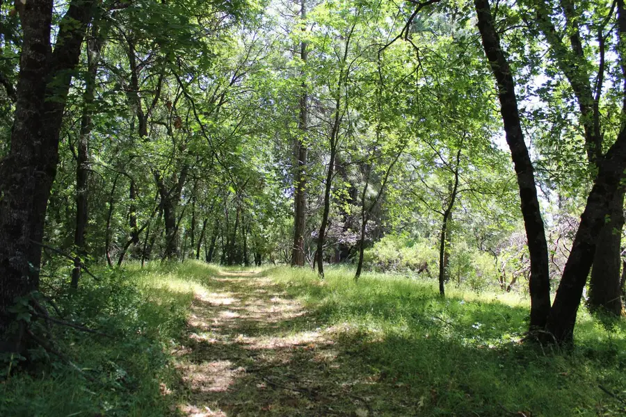 21785 Hwy 26, West Point, CA 95255 - #2