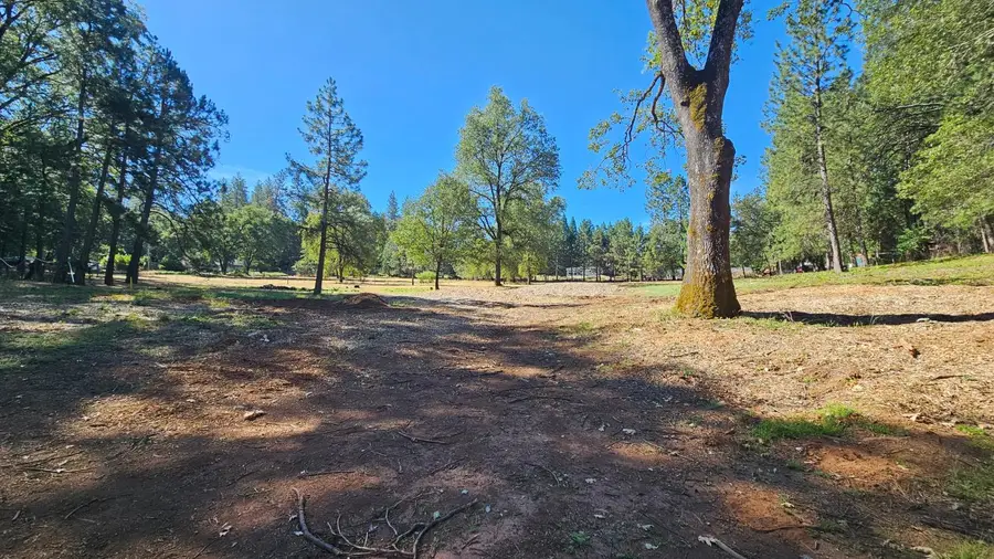 0 Volley, Meadow Vista, CA 95722 - #3