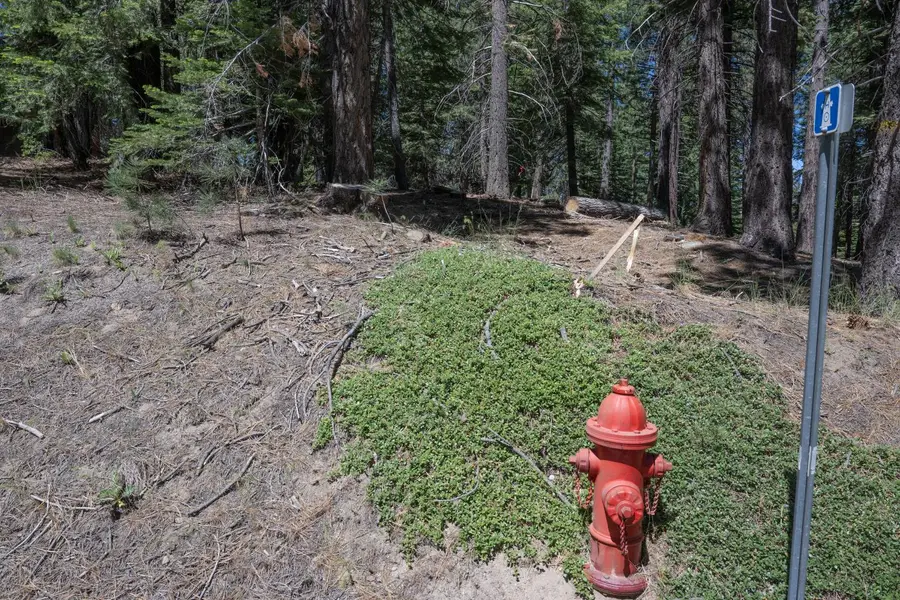 1876 Elks Club Drive, South Lake Tahoe, CA 96150 - #2