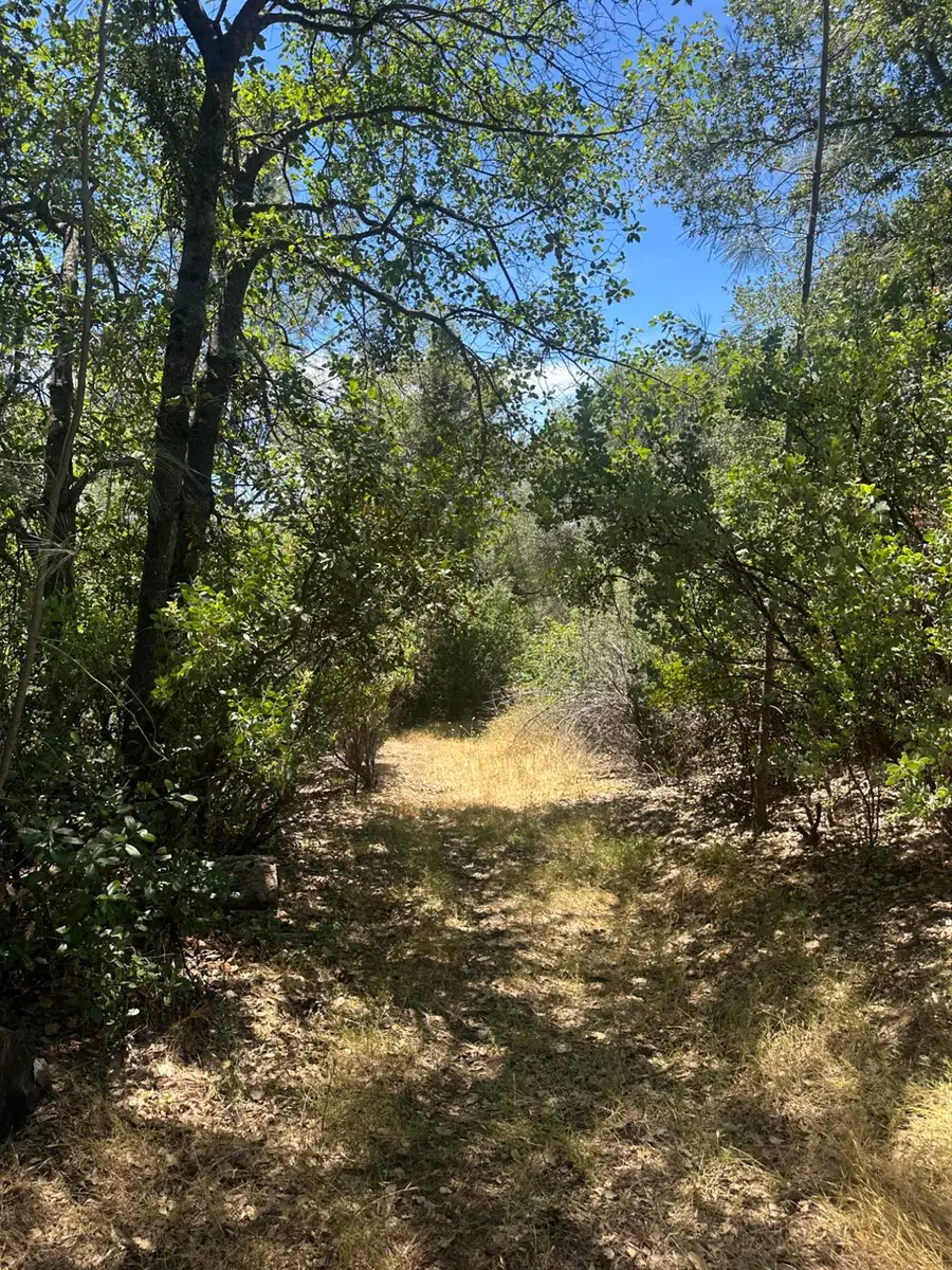 0 Bowman Road, Pine Grove, CA 95665 - #2