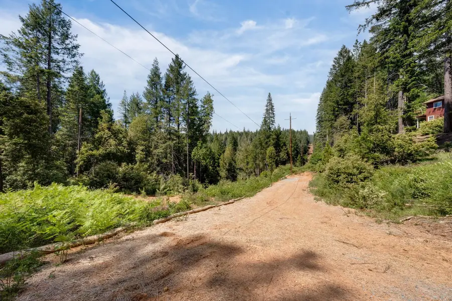 141 Glory Hole, Pike, CA 95358 - #3
