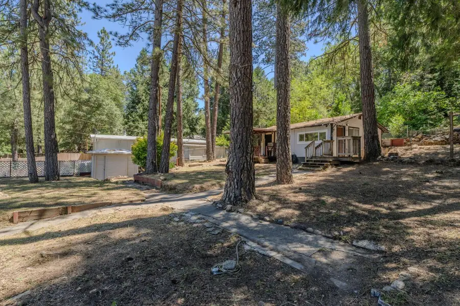 14876 Shenandoah Road, River Pines, CA 95675 - #2