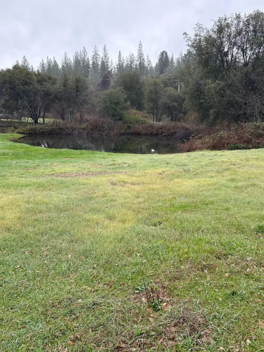 20357 Pleasant Valley Road, North San Juan, CA 95960 - #3