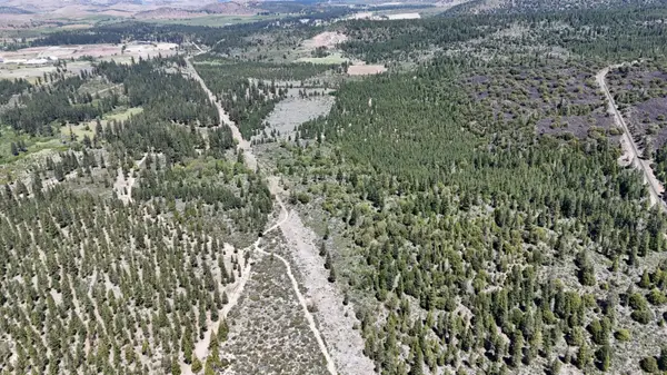 0 0 Black Butte Lookout Drive, Weed, CA 96094