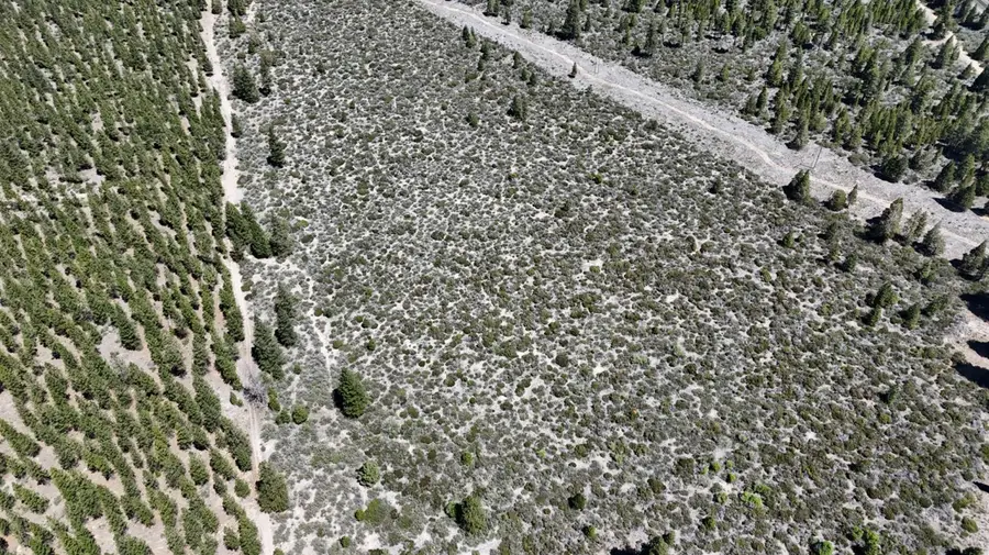 0 0 Black Butte Lookout Drive, Weed, CA 96094 - #3