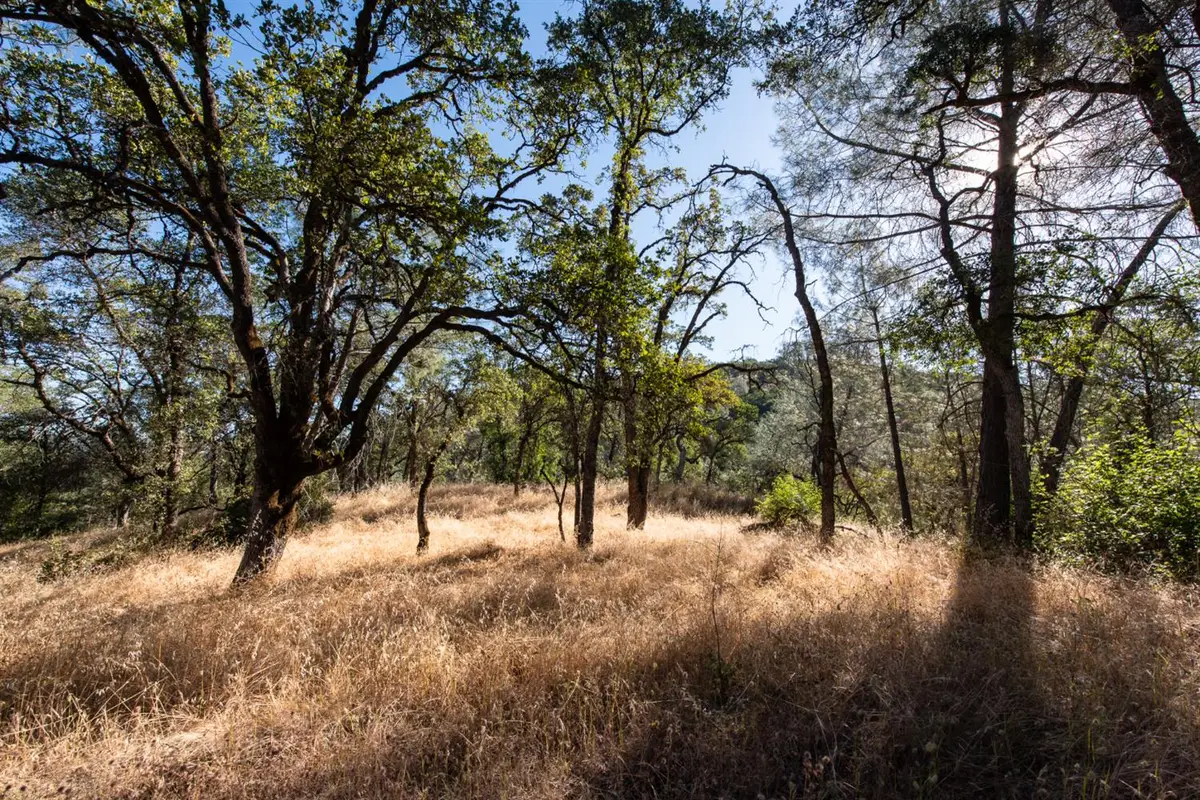 1031 Trails End Drive, Placerville, CA 95667 - #1