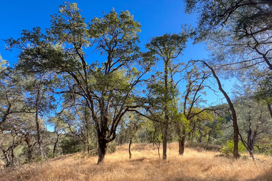 1031 Trails End Drive, Placerville, CA 95667 - #2