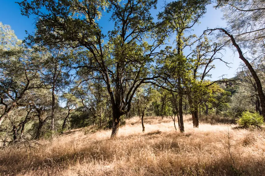 1031 Trails End Drive, Placerville, CA 95667 - #3