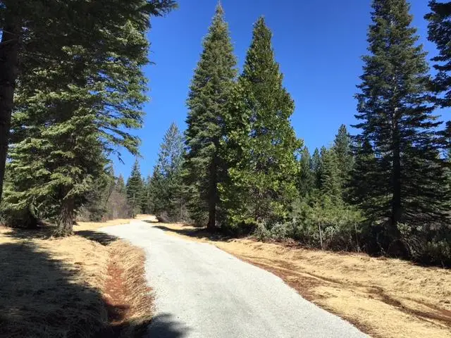 22281 Back Bone Road, Nevada City, CA 95959 - #3