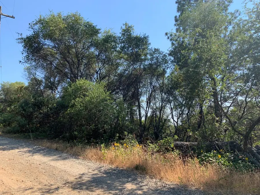 13079 Hallwood Place, Grass Valley, CA 95949 - #2