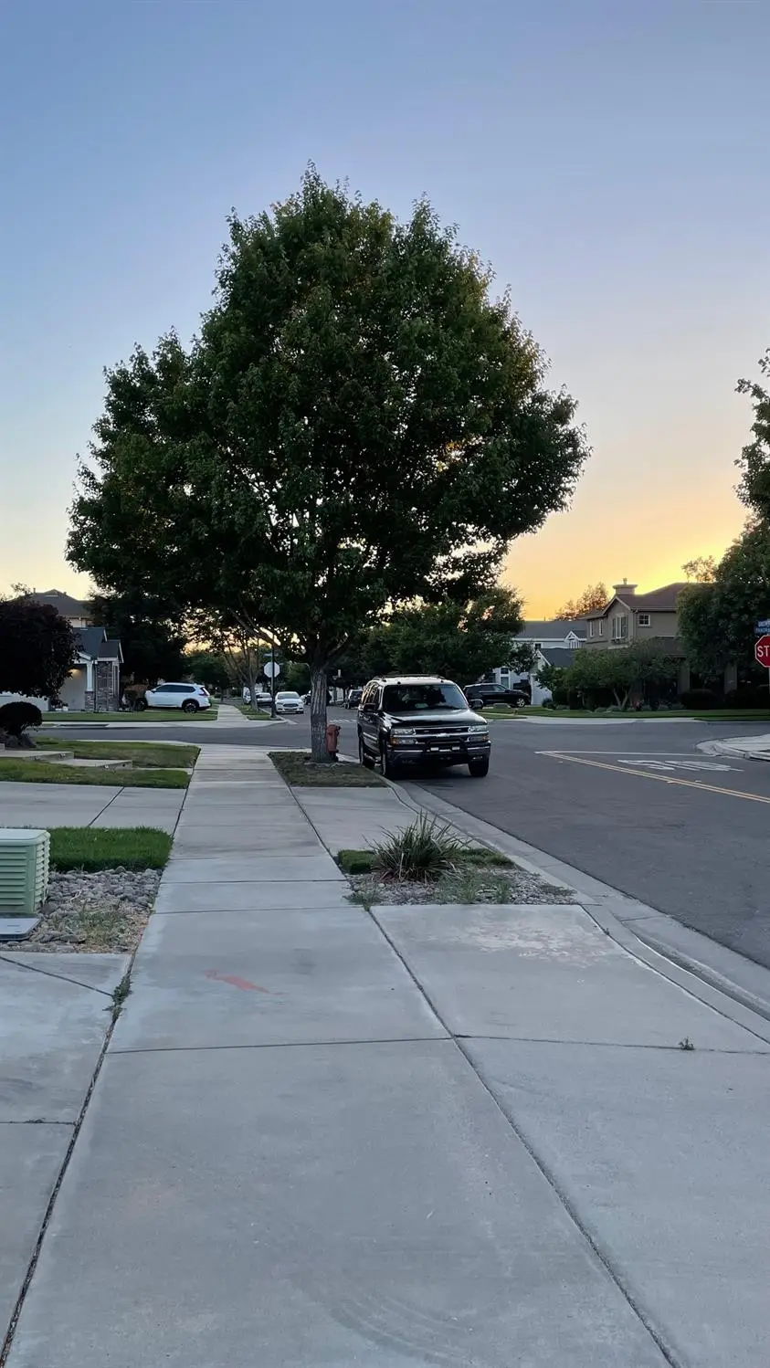 1984 Greenfield, Turlock, CA 95382 - #2