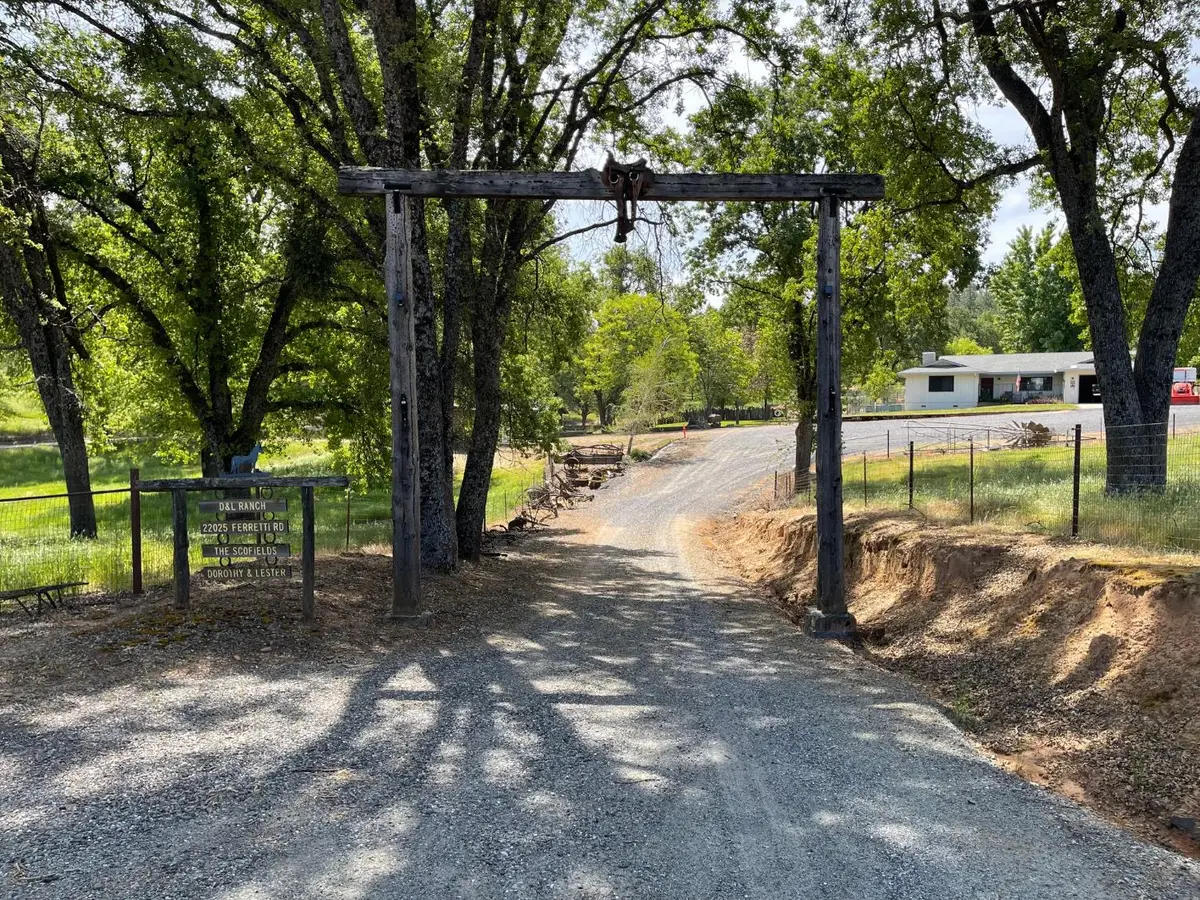 22025 Ferretti Road, Groveland, CA 95321 - #1