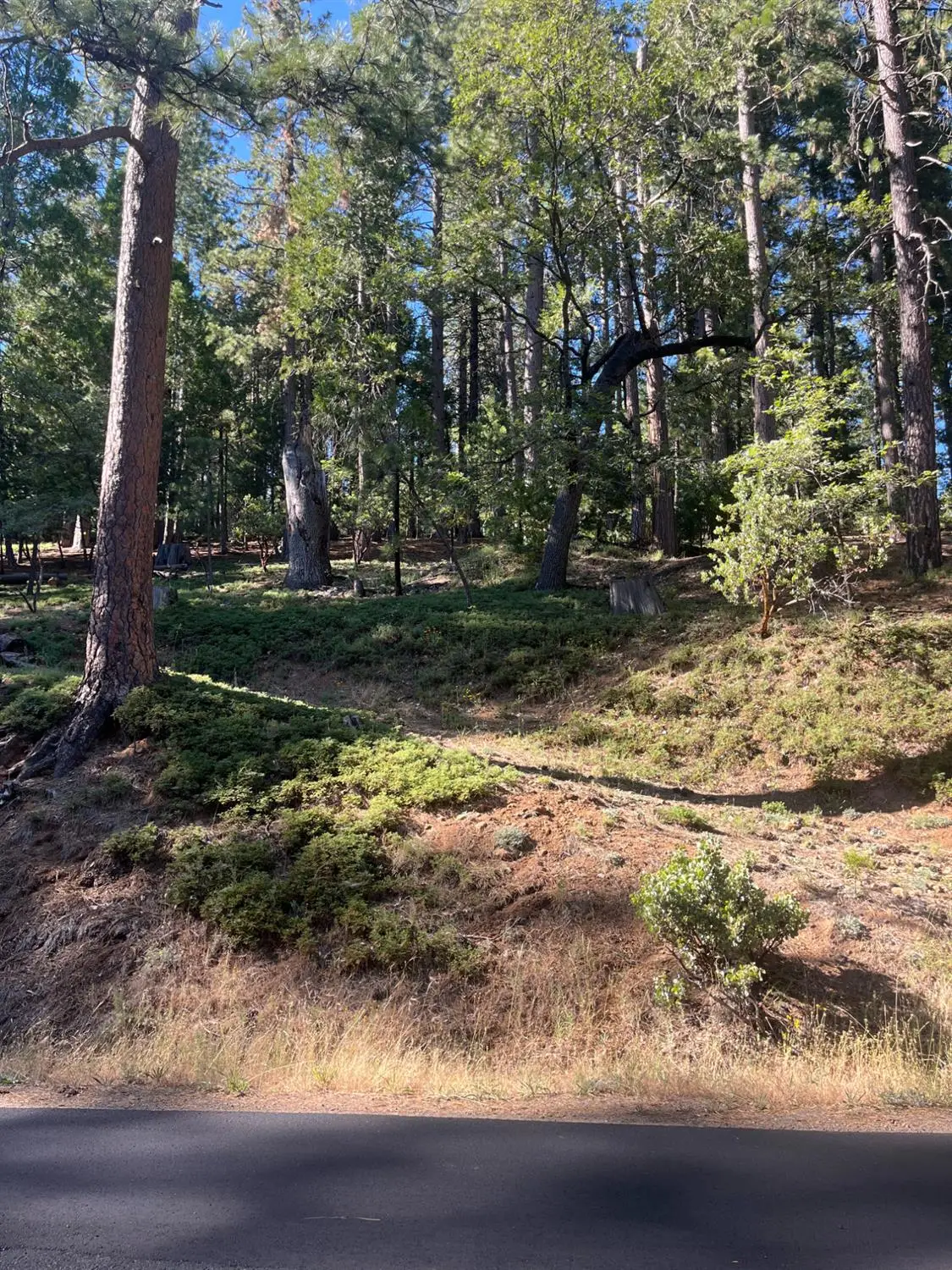 2216 Chaparral Drive, Arnold, CA 95223 - #1