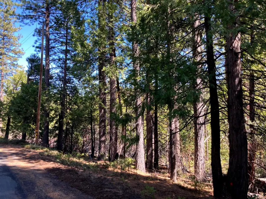 26584 Spring Road, Pioneer, CA 95666 - #2