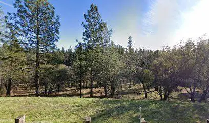 15020 Grand Knoll Drive, Meadow Vista, CA 95722 - #3