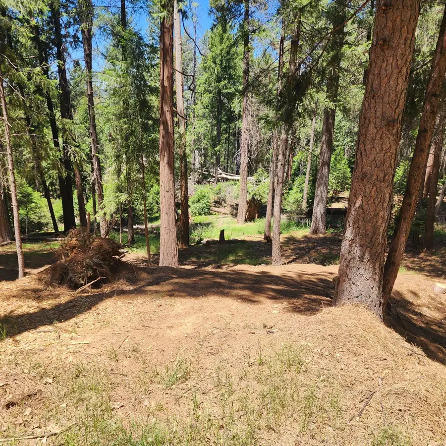 5741 Lupin Lane, Pollock Pines, CA 95726 - #3