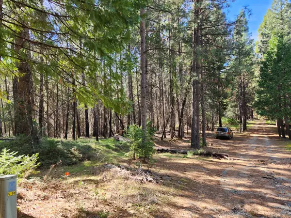 5303 Old Mine Road, Grizzly Flats, CA 95636