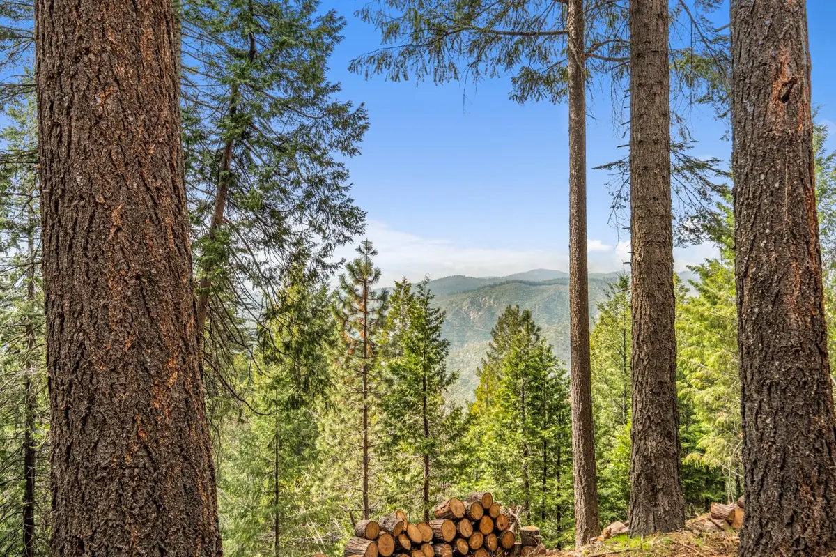 301 Camelot Way, Pollock Pines, CA 95726 - #1