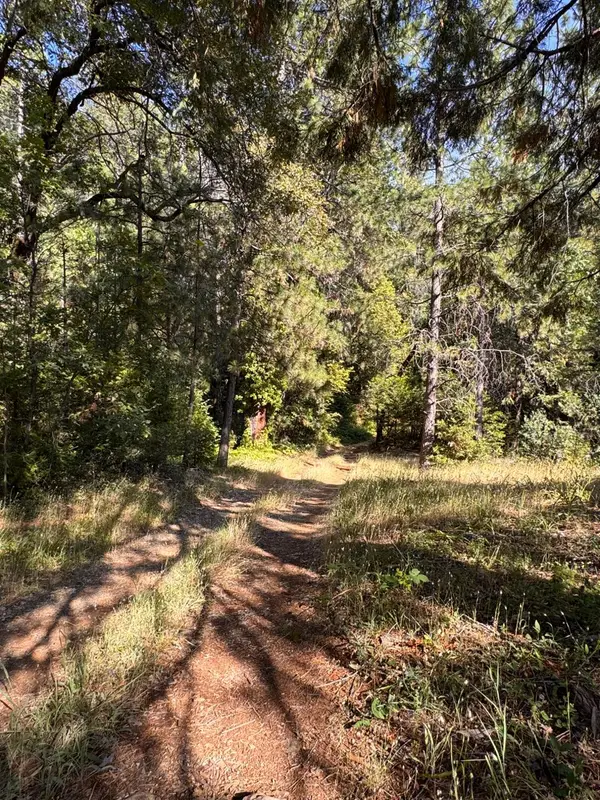 16492 Indiana Ranch Road, Dobbins, CA 95935