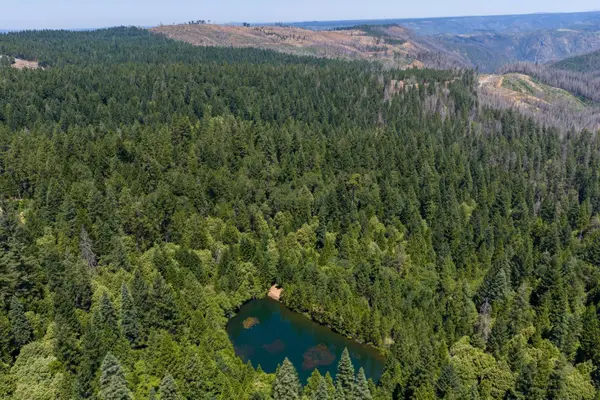 10075 White Fir Road, Georgetown, CA 95634