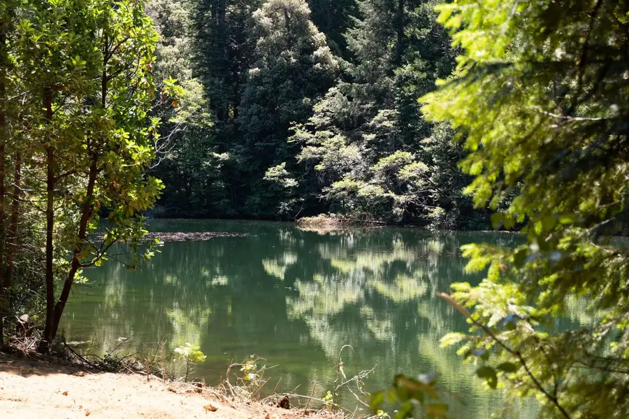 10075 White Fir Road, Georgetown, CA 95634 - #3