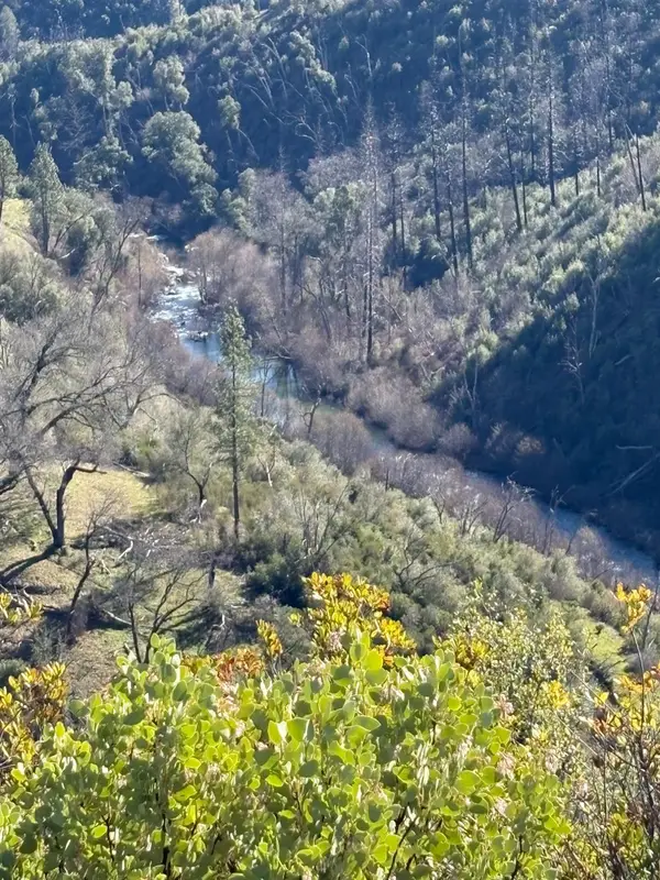 3201 Toyonberry Lane, El Dorado, CA 95623
