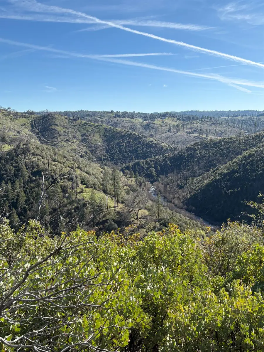 3201 Toyonberry Lane, El Dorado, CA 95623 - #2