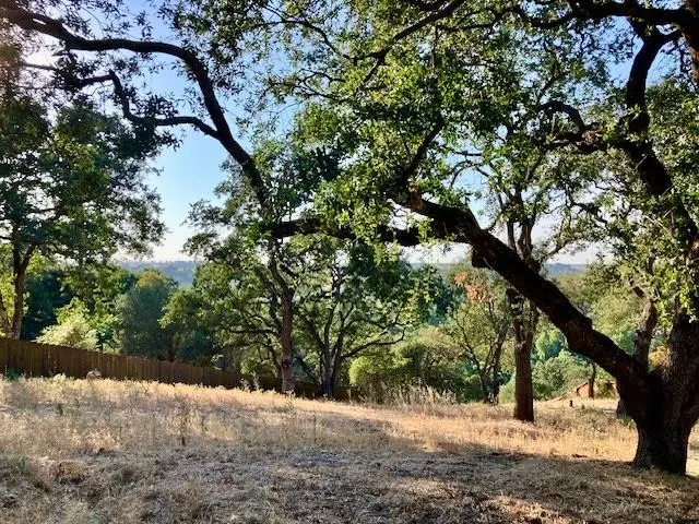 10005 River Oak Circle, Oakdale, CA 95361 - #1