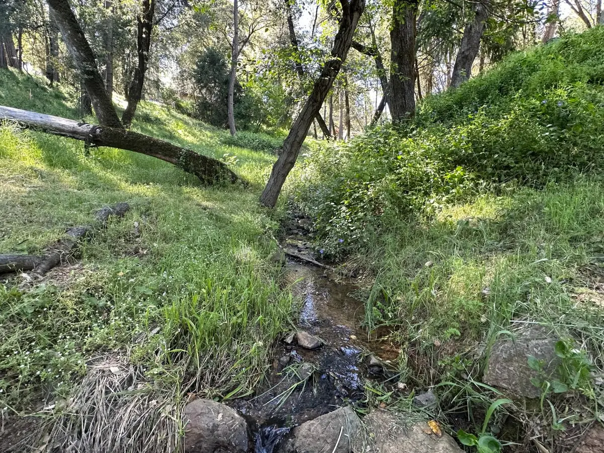 15340 Brewer Road, Grass Valley, CA 95949 - #1