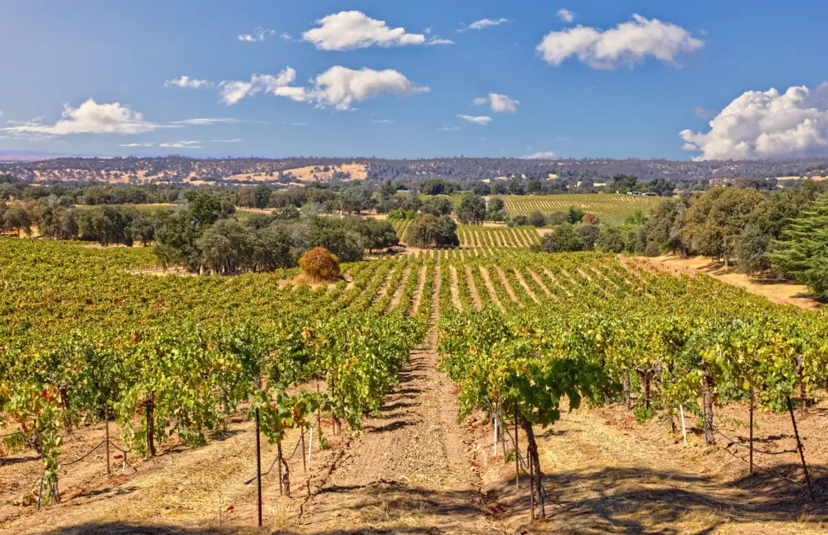 0 Shenandoah School Road, Plymouth, CA 95669 - #1