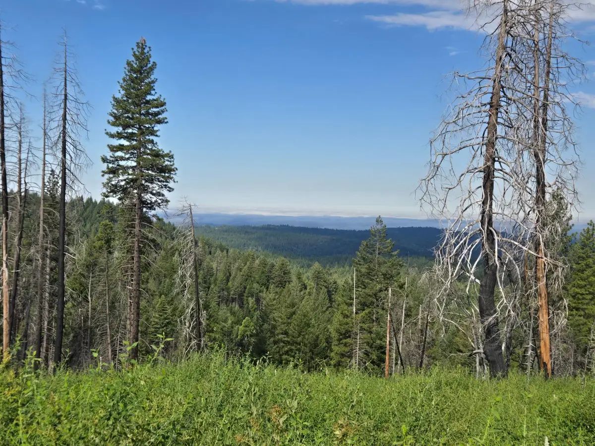 4898 Creekside, Grizzly Flats, CA 95636 - #1