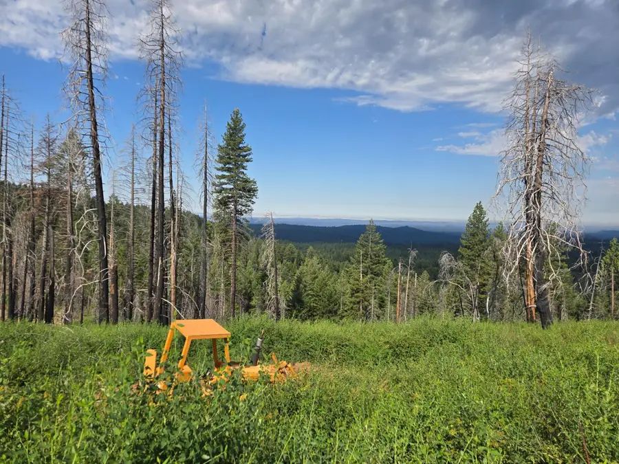 4898 Creekside, Grizzly Flats, CA 95636 - #2