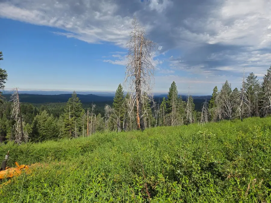 4898 Creekside, Grizzly Flats, CA 95636 - #3