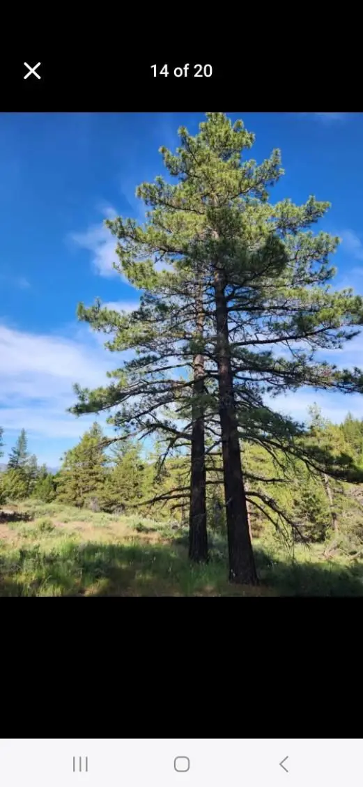 0 Cheney Creek Road, Susanville, CA 96130 - #1