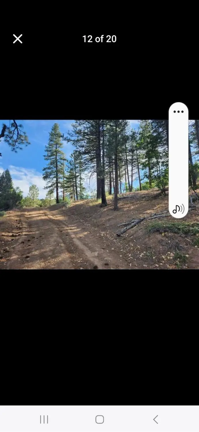 0 Cheney Creek Road, Susanville, CA 96130 - #3