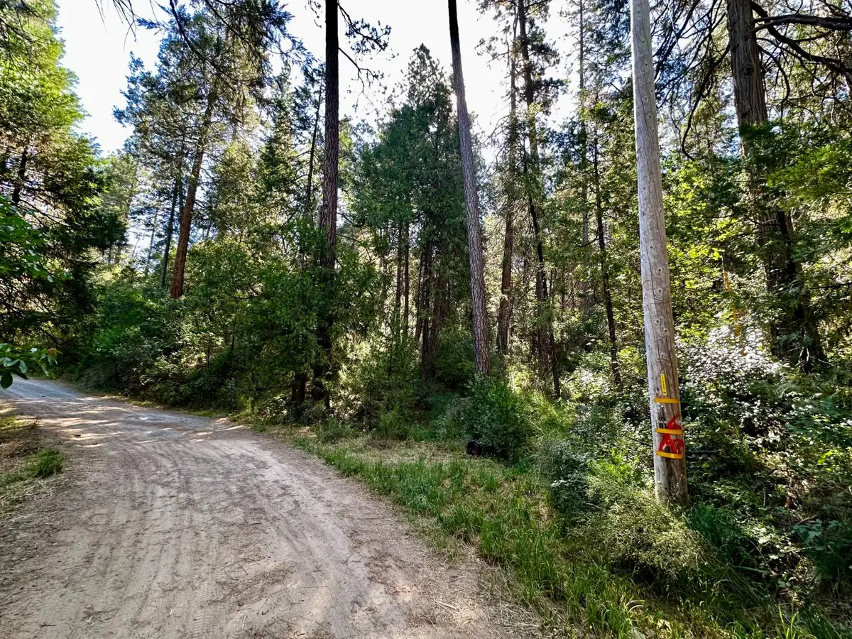 0 Dean Rd, Somerset, CA 95684 - #1