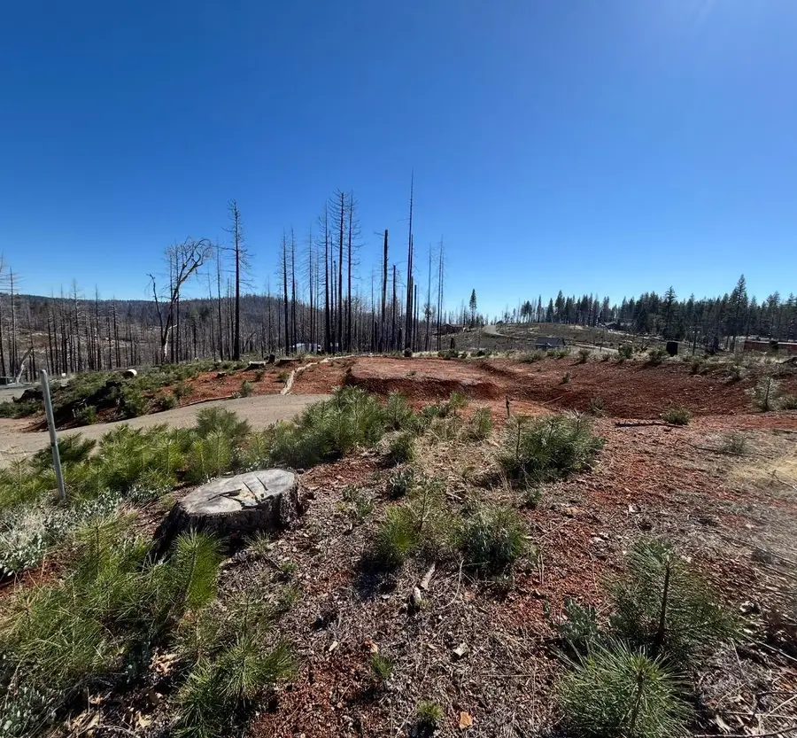 4855 Creekside, Grizzly Flats, CA 95636 - #2