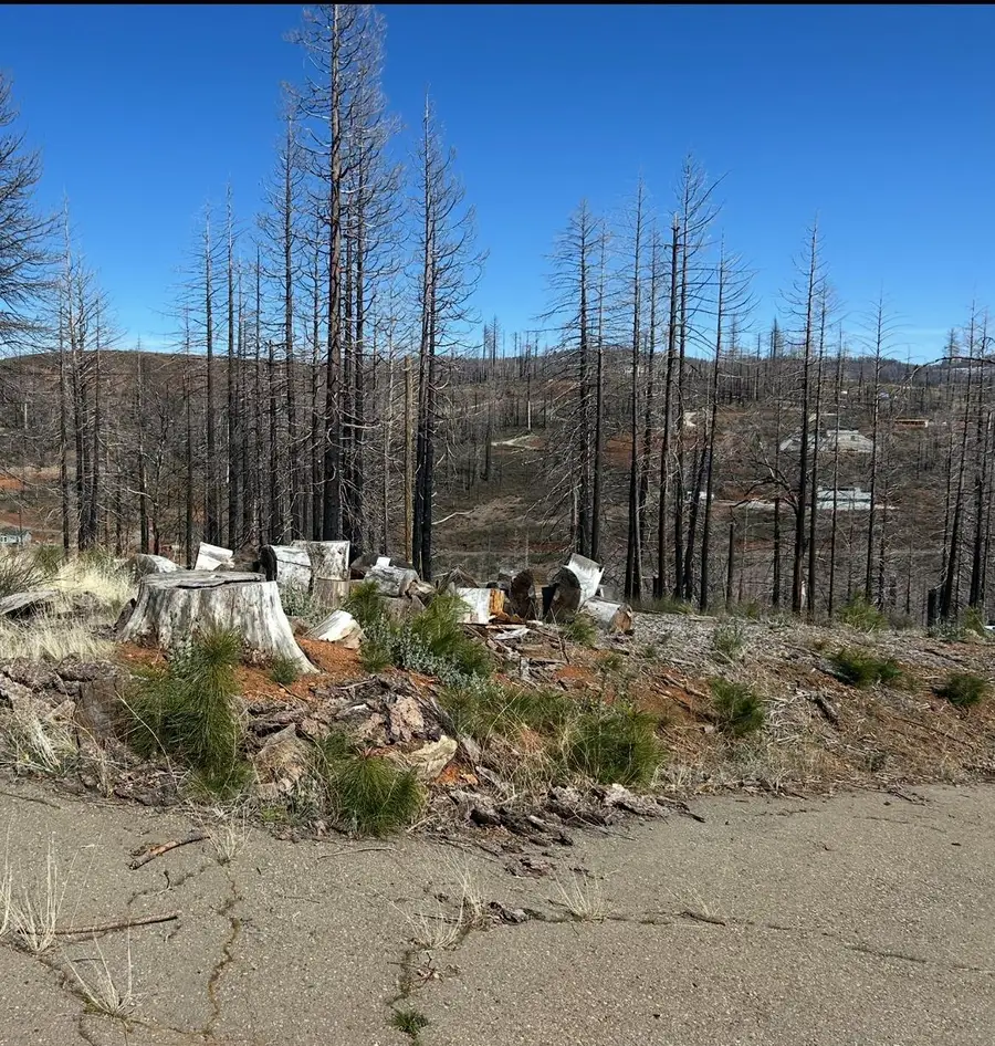 4855 Creekside, Grizzly Flats, CA 95636 - #3