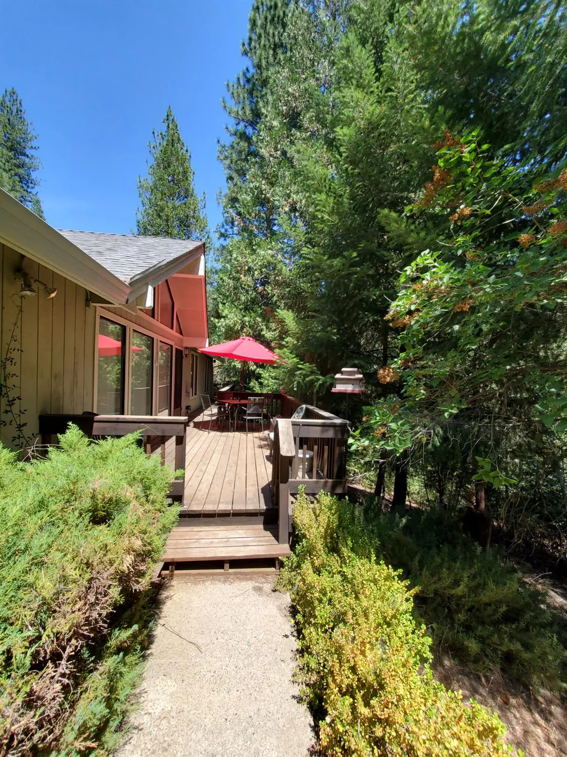25705 Creekside Drive, Pioneer, CA 95666 - #1