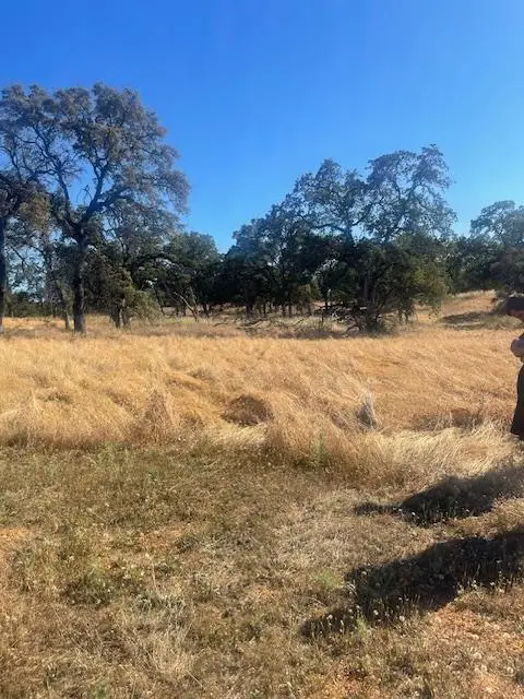 0 Kimberly Road, Loma Rica, CA 95901 - #1