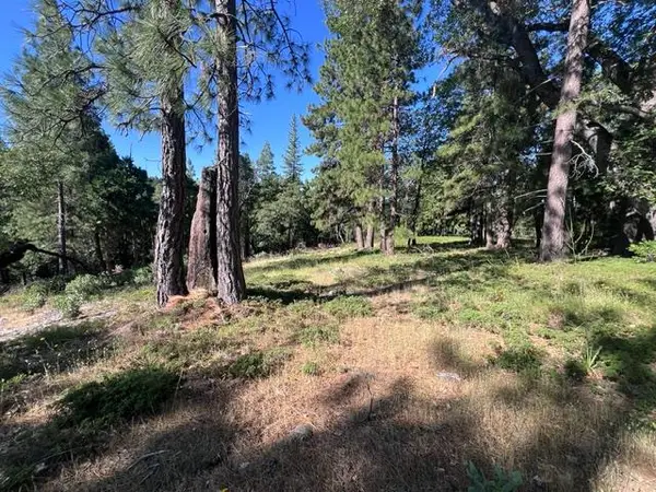 0 Spirit Lane, Pollock Pines, CA 95726