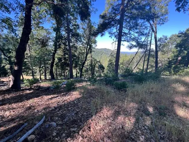 0 Spirit Lane, Pollock Pines, CA 95726 - #2
