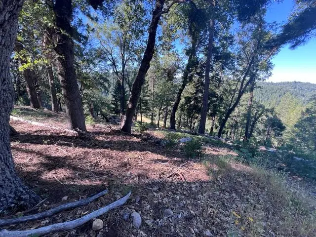 0 Spirit Lane, Pollock Pines, CA 95726 - #3