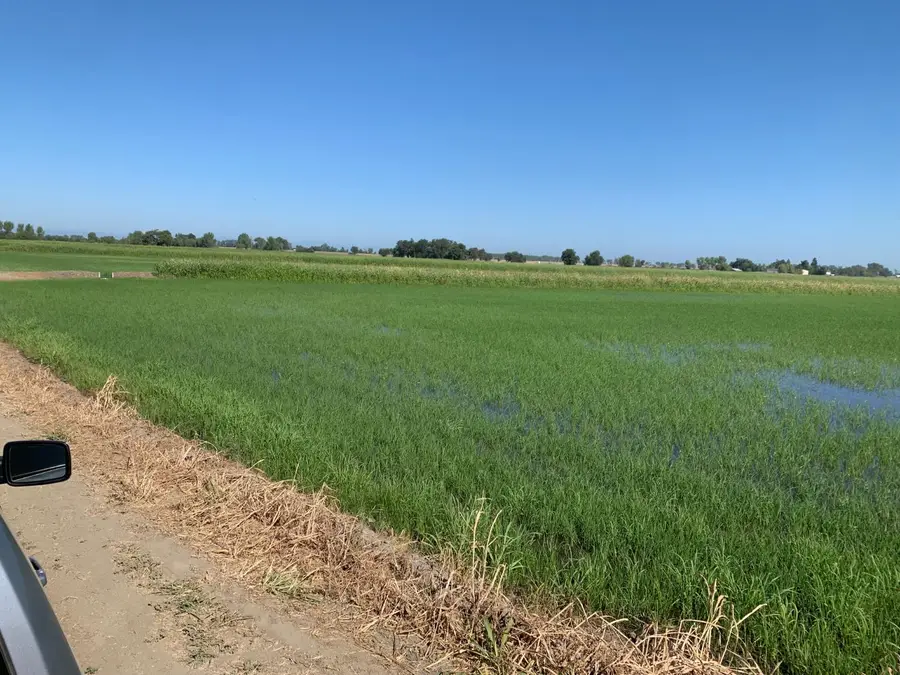 0 10658 Fasig Rd, Meridian, CA 95957 - #2