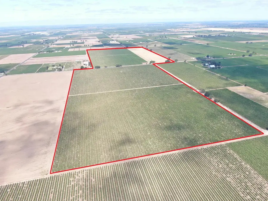 20271 N Devries Road, Lodi, CA 95242 - #2